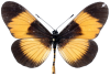 Cliquer