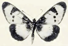 Cliquer