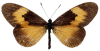 Cliquer